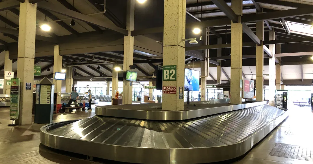 LIH Customs Guide: When the Sunday 4 PM Line Backs Up